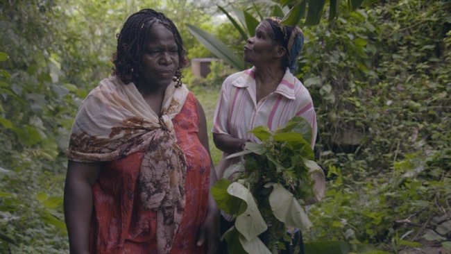 Fokus: You Think the Earth is a Dead Thing