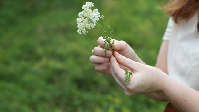 Frühlingskräuter-Workshop