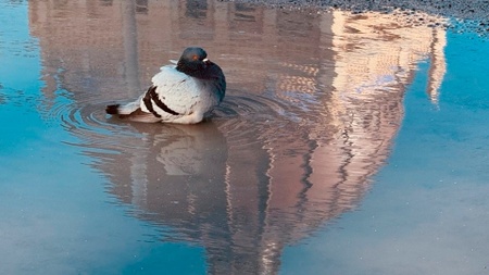 Bei jedem Wetter. Ein Wasserspaziergang entlang der Spreeinsel