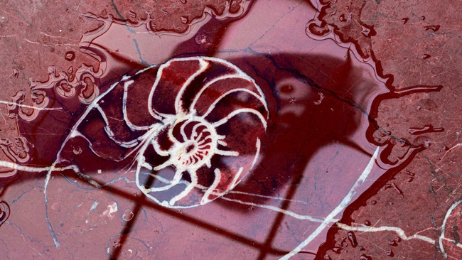 Cyprien Gaillard. Wassermusik