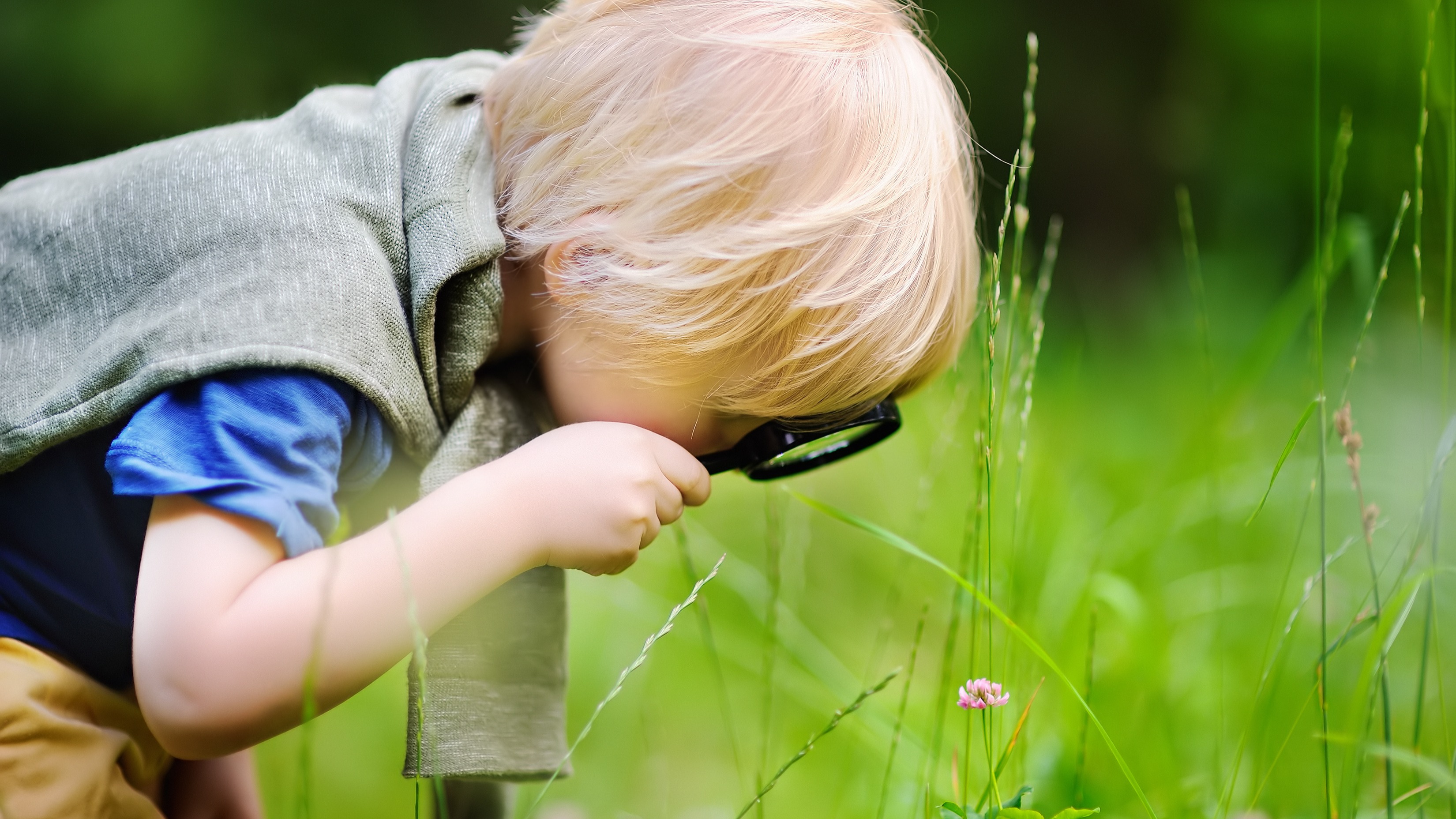 Naturworkshop: Heimische Tiere im Winter. Eltern und Kindern ab 5 Jahre