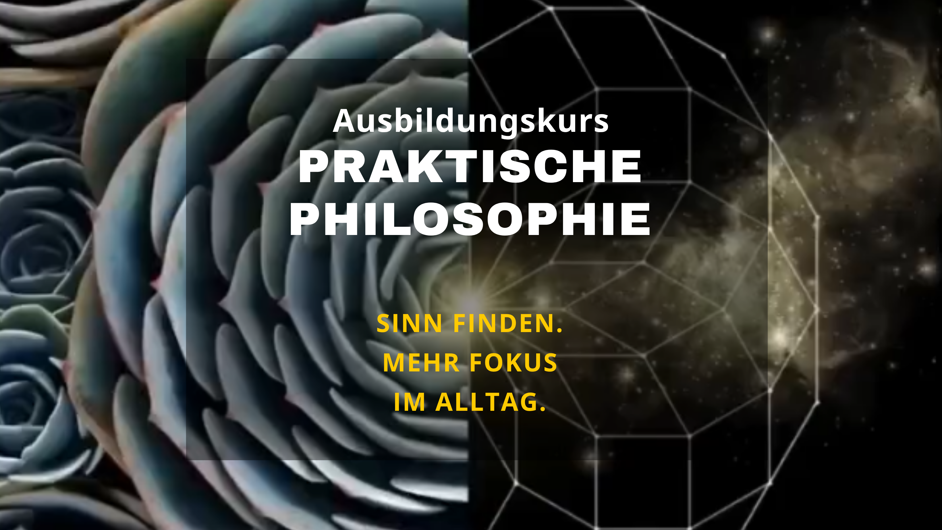 Infostunde zum Kurs „Praktische Philosophie“  - Philosophie für den Alltag!