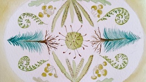 Botanical Mandalas