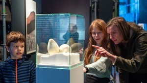 Familienführung "Tierische Helden im Eis - Auf zu Robbe, Wal und Pinguin"