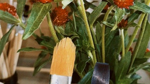 Acrylmalen: Objekt – Kreativ mit Thema & Technik (2,5 Stunden) DIY Workshop Einsteiger bis Fortgeschritten