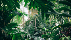 Botanischer Garten München-Nymphenburg