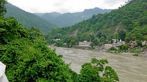 Sprechende Natur – Die Bindung von Natur und Umwelt in Indien seit dem Altertum