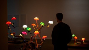 Mika Rottenberg. Queer Ecology