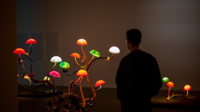 Mika Rottenberg. Queer Ecology