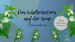 Kräuterwanderung Zeisigwald