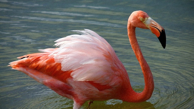 Die zweite Lange Nacht  der ungeförderten Projekte