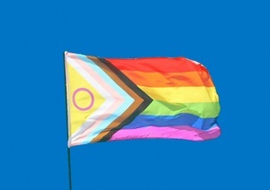 Bi- und pansexueller Klönschnack