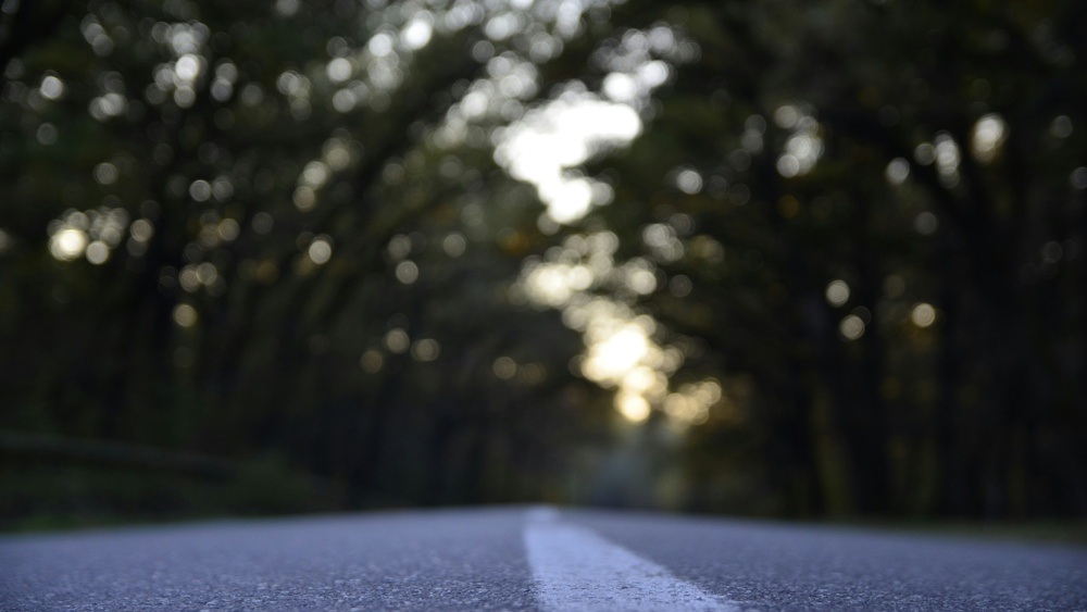 10. HEVIE - Hemelinger Vielfalt Stadtteilfest