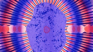 CIRCULAR LISTENING SESSION