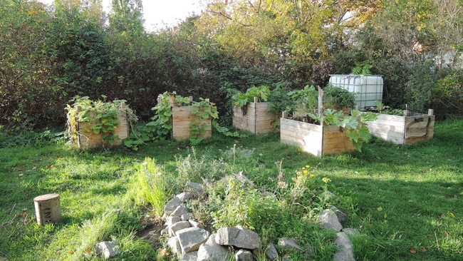 Wöchentliches Gartentreffen im Gemeinschaftsgarten Lene-Voigt-Park