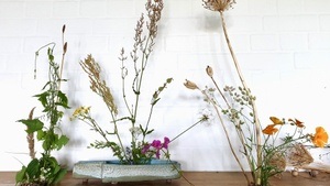 Natur-Upcycling durch Ikebana – Kreativworkshop auf der Tegeler Stadtheide