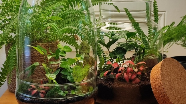 DschungelGlas - Workshop