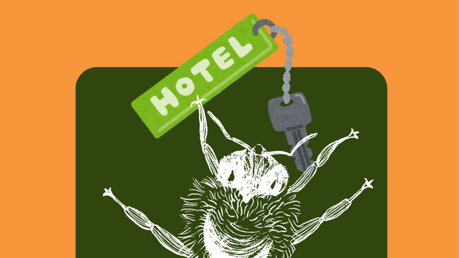 Wir bauen Insekten Hotels