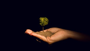 AN-KI Schöne Aussicht