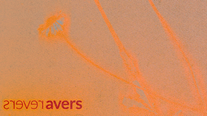 revers:AVERS