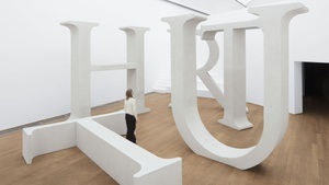 Shilpa Gupta. What Still Holds