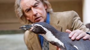 Der Pinguin meines Lebens