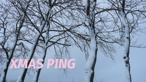 XMAS PING - Pop up mit der parasitenpresse