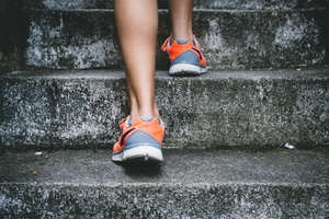 Draußen Aktiv - Outdoor-Fitness auf der Rigal´schen Wiese