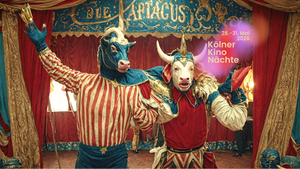 PRIMITIVE DIVERSITY - Kölner Kino Nächte