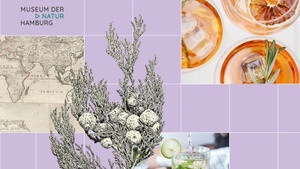 Gin-Tasting und Führung durch die Sonderausstellung "Das Ganze der Natur"