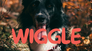 Wiggle Walk Cologne 🐕
