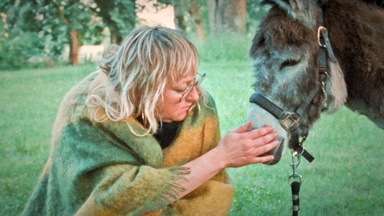 Donkey Days
