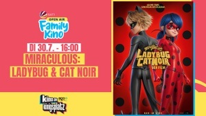 MIRACULOUS: LADYBUG & CAT NOIR – SAT.1 Family Kino