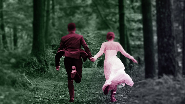 Il Barabiere di Siviglia (Der Barbier von Sevilla)