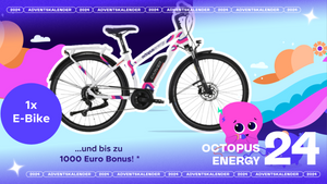 24. Türchen: Octopus Energy 🐙