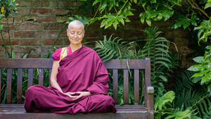 Meditations-Workshop für liebevolle Güte