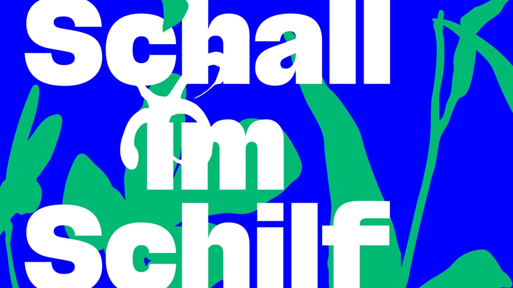 Schall im Schilf Festival 2025