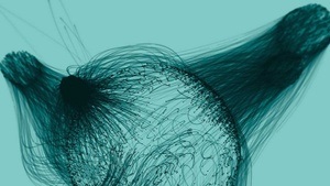 Lange Nacht der Wissenschaften 2026 im Forschungscampus Dahlem