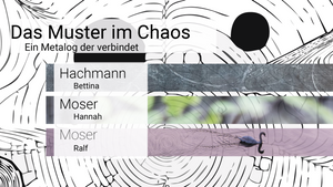 Das Muster im Chaos - Ein Metalog der verbindet
