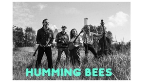 Humming Bees - Live Konzert