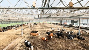 CONVIVIUM – Nahrungssysteme am Limit