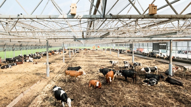 CONVIVIUM – Nahrungssysteme am Limit