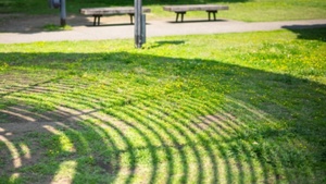 Functional Training meets Outdoor Circle Training