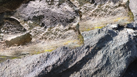 Ausstellungseröffnungen: Susanne Kriemann. Knochen, Pech, Natternkopf (Being a Photograph) und Ronny Aviram. Werde ich zu einer Salzsäule