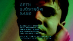 Seth Sjöström band