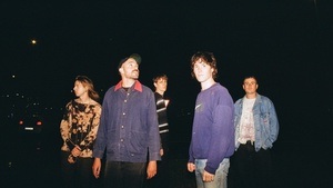 The Belgian Blue - Orinoco Books