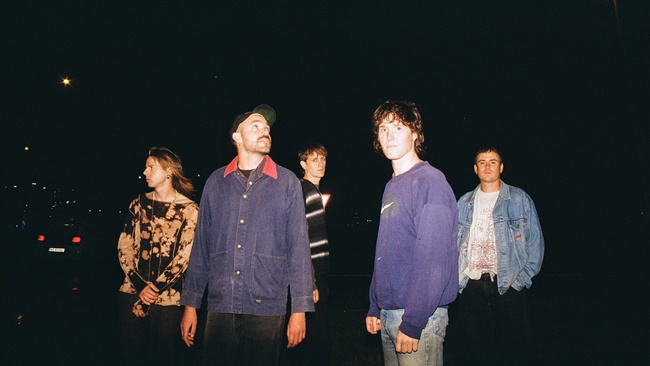 The Belgian Blue - Orinoco Books