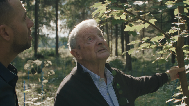 Nur der Wald ist geblieben