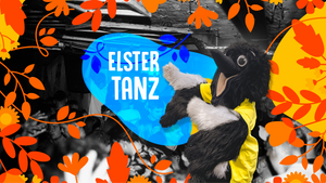 ElsterTanz - Jeden Samstag