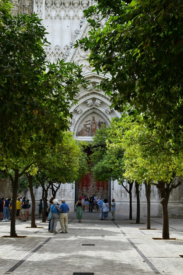Pius-Markt